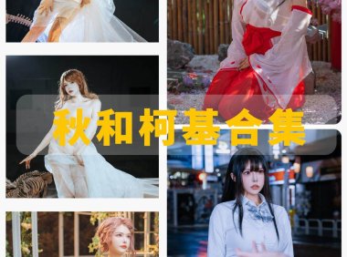 秋和柯基 最全图包合集 [持续更新]